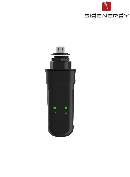 Sigen USB-Stick 4 G